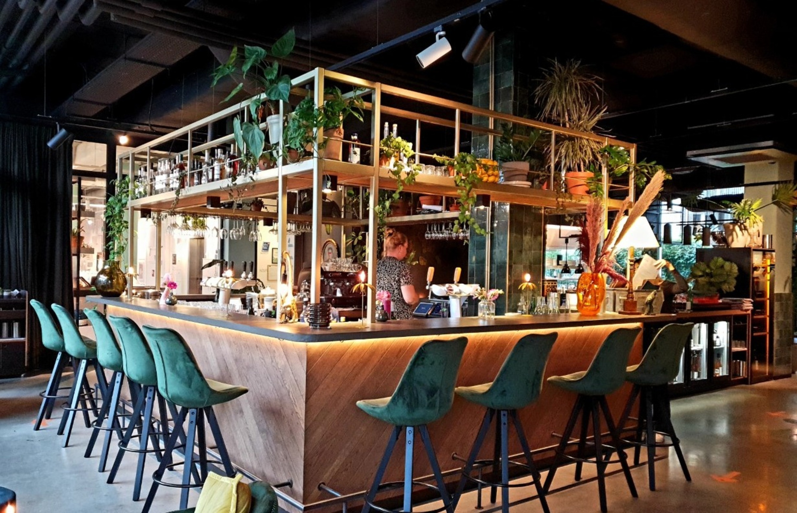 Het vernieuwde Café Moer: biologisch dineren in - De Buik van Amsterdam